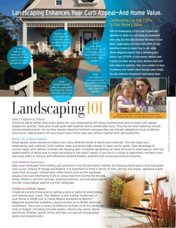 Landscaping 101 to Improve Your Lawn and Garden