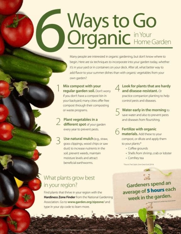 Six Ways to Go Organic in Your Home Garden