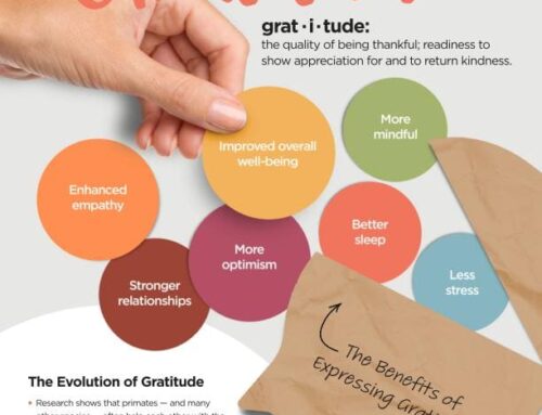The Power of Gratitude in Everyone’s Life